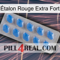 Étalon Rouge Extra Fort 22